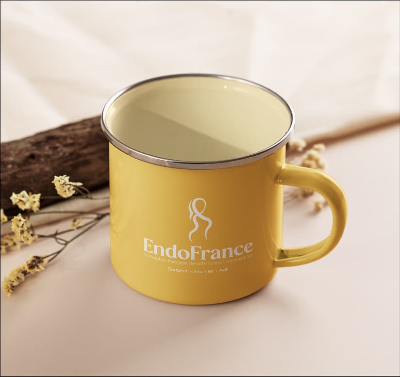 EndoFrance — palette couleurs
