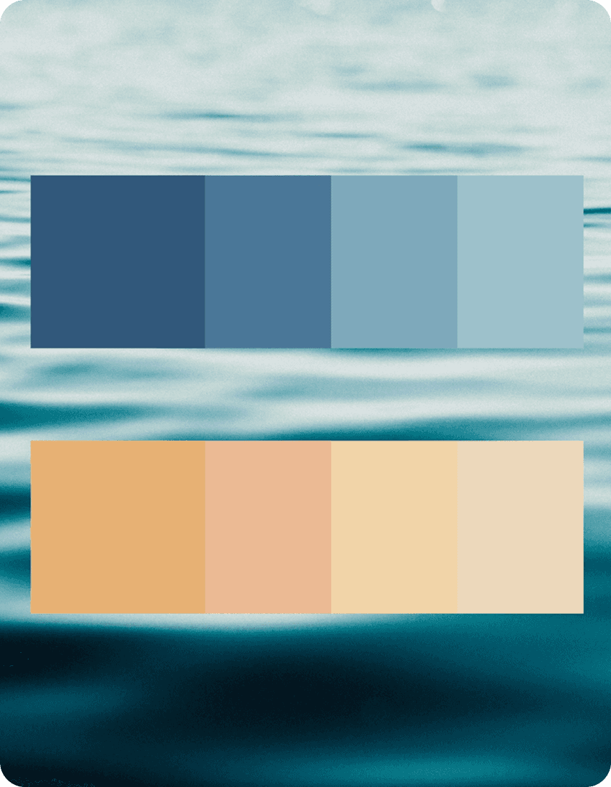Escolazul — palette couleurs